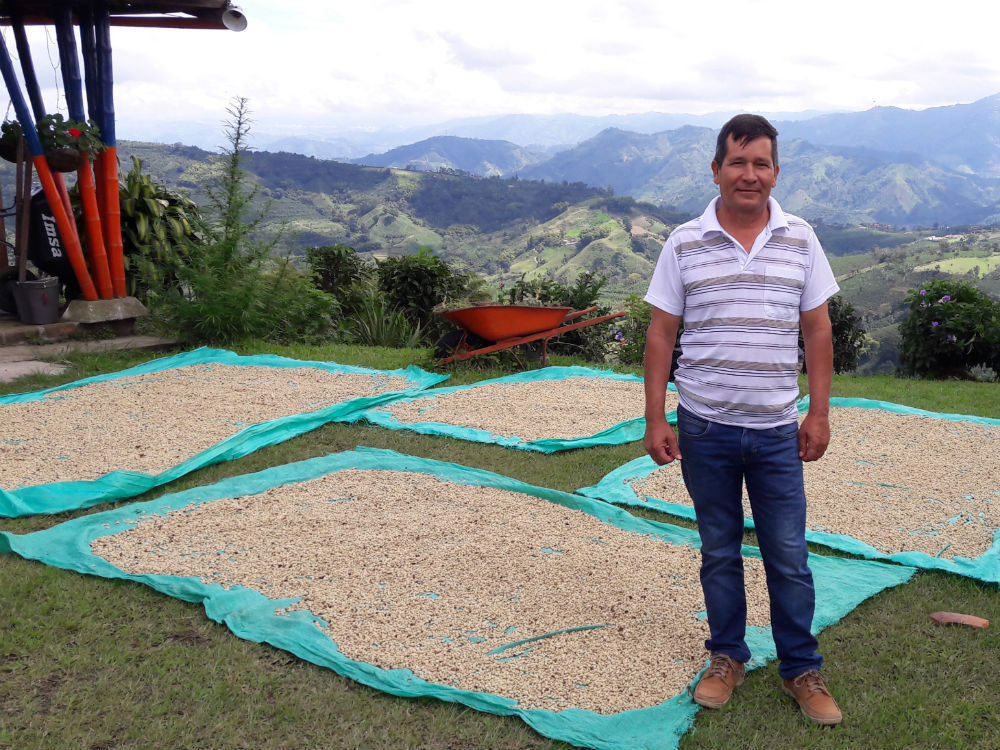 A?ngel Soto es administrador de una pequeA�a finca de tres hectA?reas de cultivo de cafA� en Santa Rosa de Cabal, en Pereira.