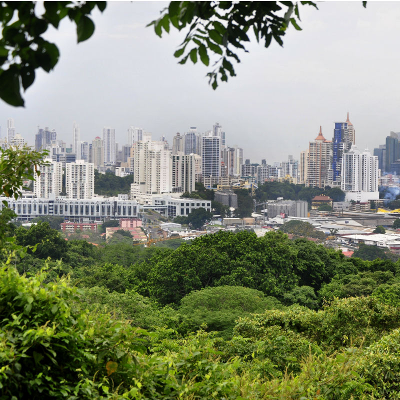 Ciudad de PanamA? se une a una organizaciA?n internacional en pro del ambiente